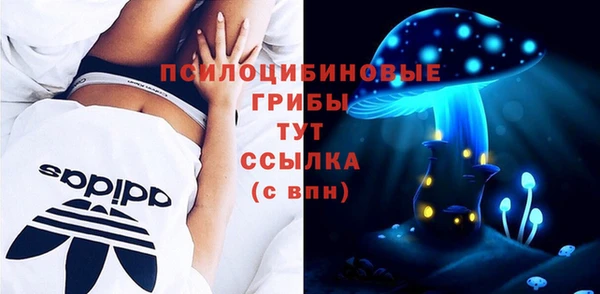 эйфоретик Няндома