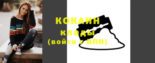 эйфоретик Няндома