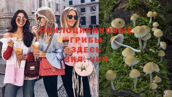 стаф Валуйки